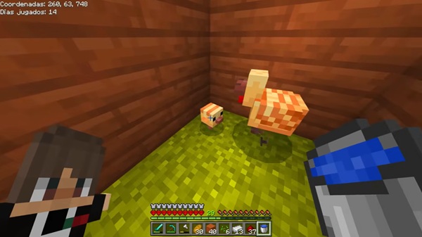 minecraft 1.26.14 apk mod